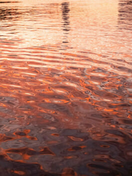 Mehdi Ait El Mallali