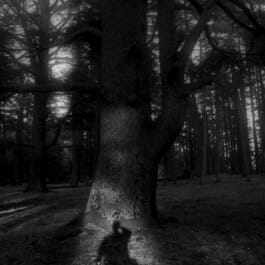 Mehdi Ait El Mallali