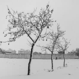 Mehdi Ait El Mallali