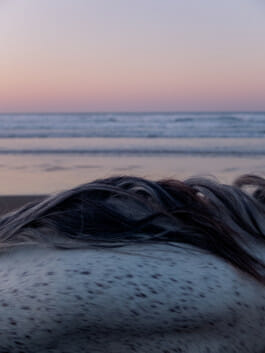 Mehdi Ait El Mallali