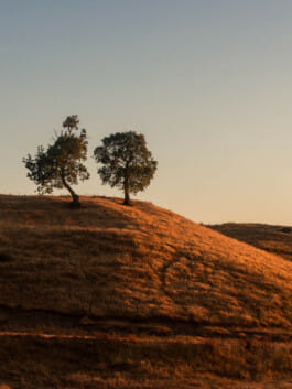 Mehdi Ait El Mallali