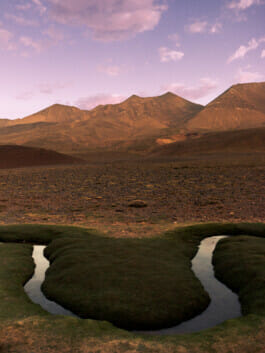 Mehdi Ait El Mallali