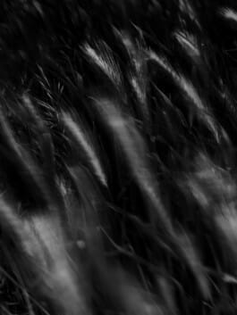 Mehdi Ait El Mallali