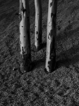 Mehdi Ait El Mallali