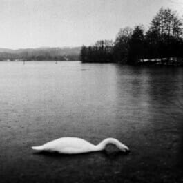 Mehdi Ait El Mallali