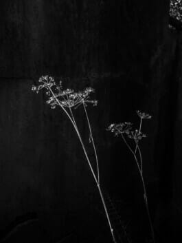 Mehdi Ait El Mallali