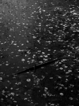 Mehdi Ait El Mallali