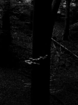 Mehdi Ait El Mallali