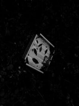 Mehdi Ait El Mallali