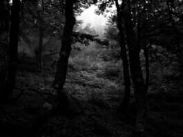 Mehdi Ait El Mallali