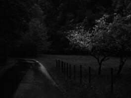 Mehdi Ait El Mallali