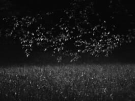 Mehdi Ait El Mallali