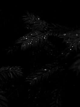 Mehdi Ait El Mallali