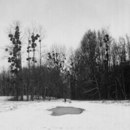 Mehdi Ait El Mallali