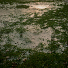 Mehdi Ait El Mallali