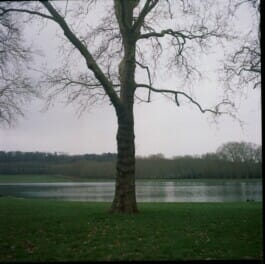 Mehdi Ait El Mallali