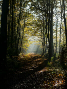 Mehdi Ait El Mallali