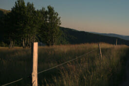 Mehdi Ait El Mallali