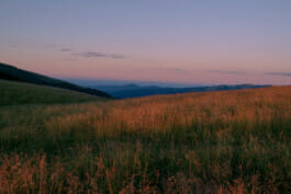 Mehdi Ait El Mallali