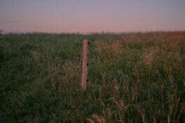 Mehdi Ait El Mallali