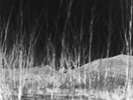 Mehdi Ait El Mallali