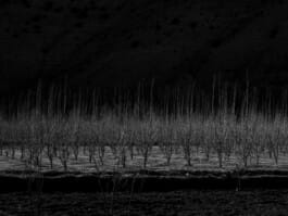 Mehdi Ait El Mallali