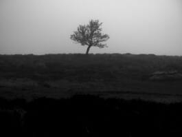 Mehdi Ait El Mallali