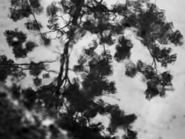 Mehdi Ait El Mallali