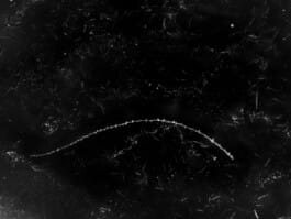 Mehdi Ait El Mallali