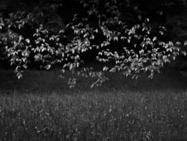 Mehdi Ait El Mallali