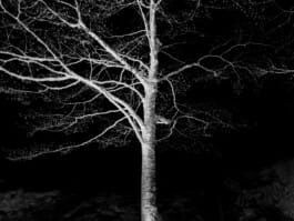 Mehdi Ait El Mallali