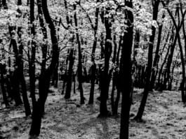 Mehdi Ait El Mallali