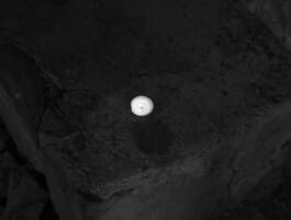 Mehdi Ait El Mallali